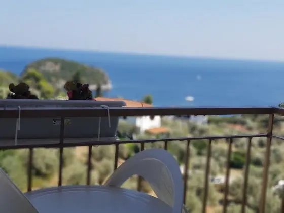 Hotel Ariadne - Oda Düzeni