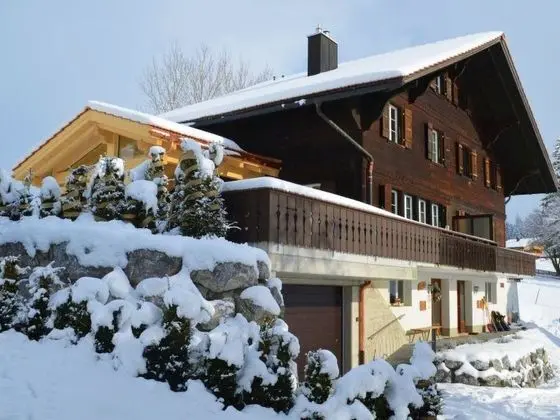 Ariel Saanen in Saanen