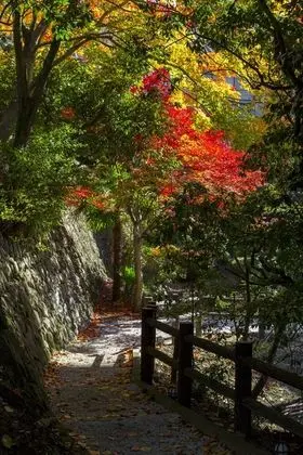 Arima Onsen Motoyu Kosenkaku - Dış Mekan