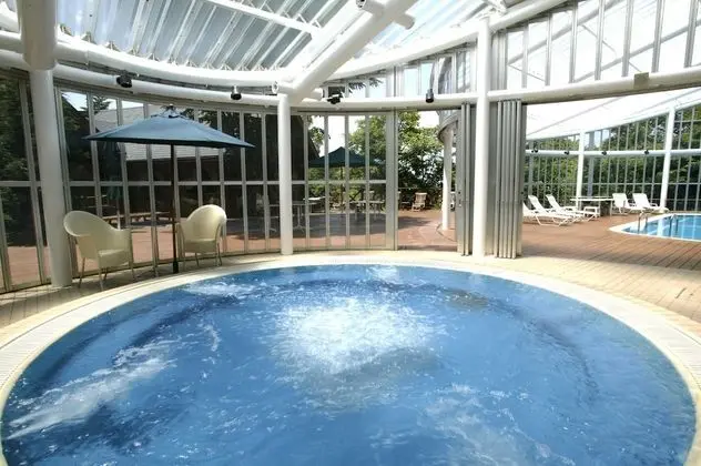 Arima Onsen Motoyu Kosenkaku - Havuz