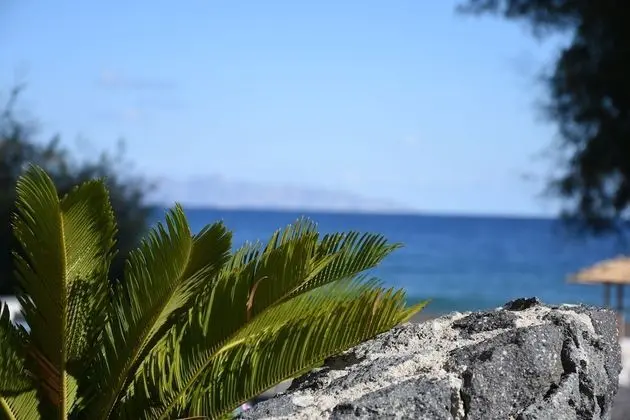 Arion Bay Hotel - Dış Mekan