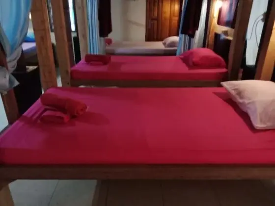 Arjuna Garden Homestay - Hostel - Oda
