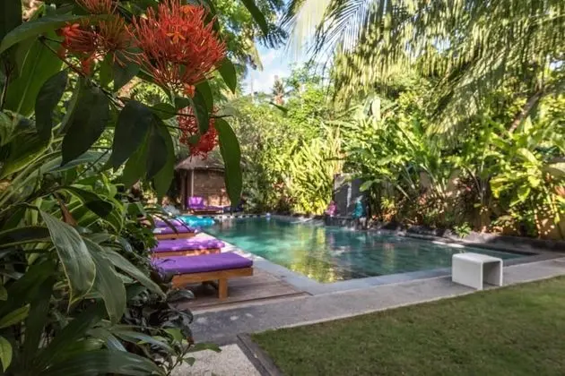 Arjuna Homestay - Havuz