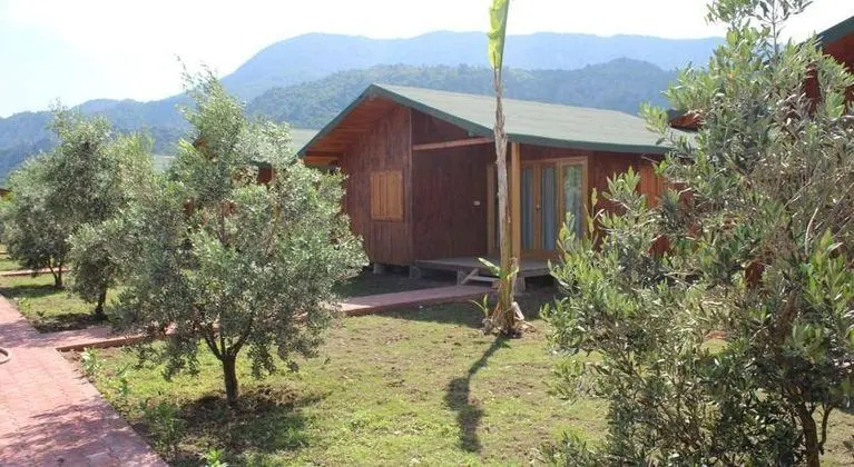 Armina Pension