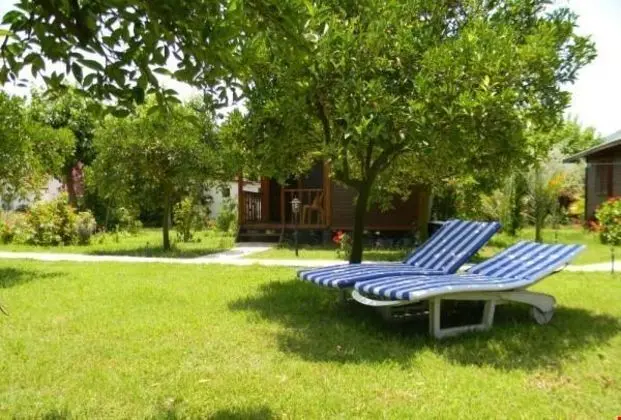 Armina Pension - Havuz