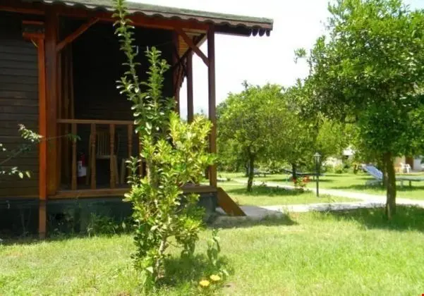 Armina Pension - Yerinde Yemek