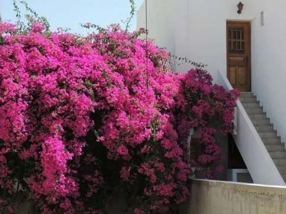 The Armonia Hotel