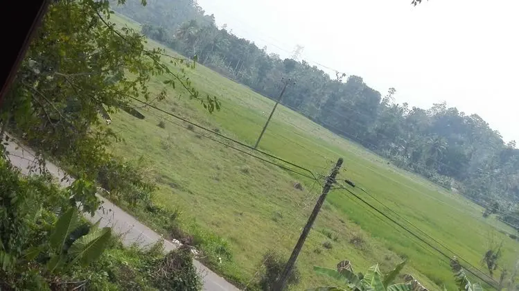 Aroma Villa - Oda