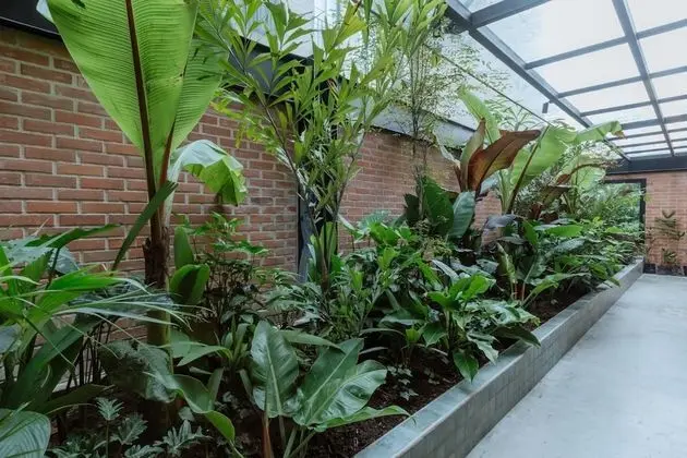 Art Hotel Boutique Medellin - Dış Mekan