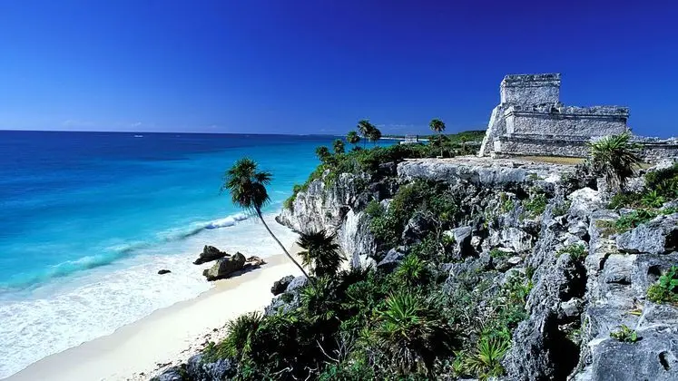 Art House Tulum