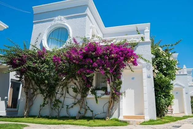 Art Suites Hotel Bodrum - 6