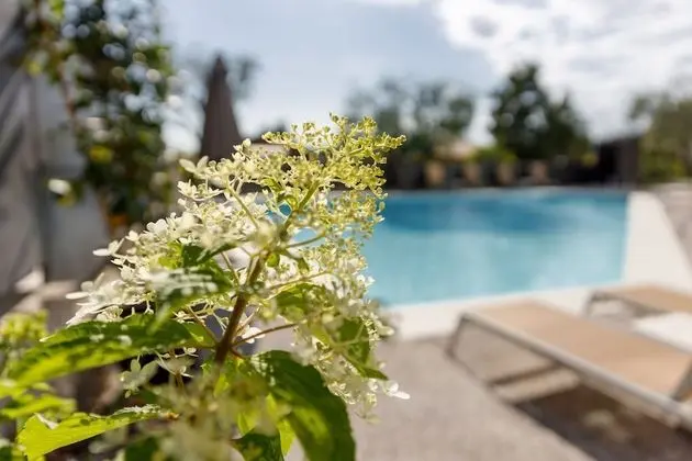 Art Hotel Ventaglio - Havuz