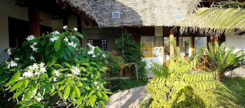Art Hotel Zanzibar - Dış Mekan