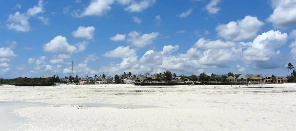 Art Hotel Zanzibar - Plaj