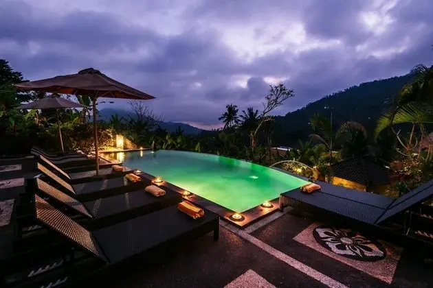 Arta Nadi Villa - Havuz