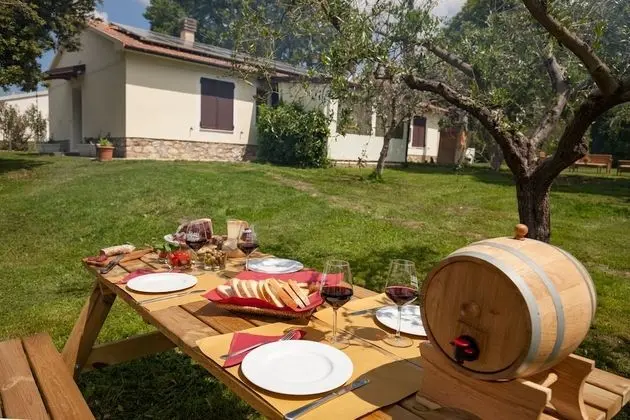 Artemisia negli ulivi B&B