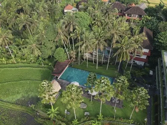 The Artini Dijiwa Ubud - Dış Mekan
