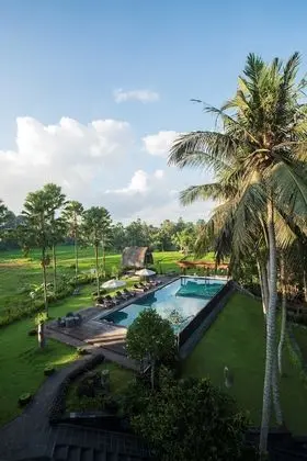 The Artini Dijiwa Ubud - Havuz