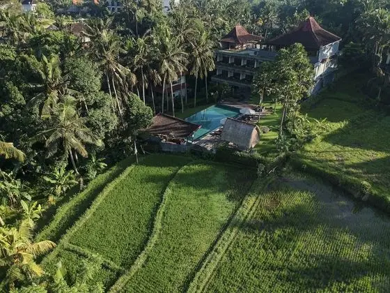 The Artini Dijiwa Ubud - Oda