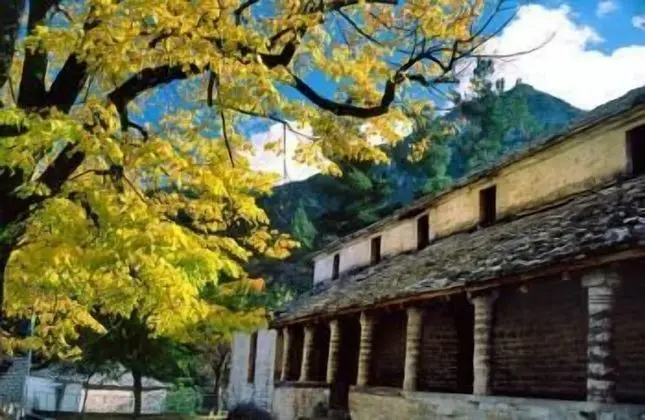 Artsistas Houses