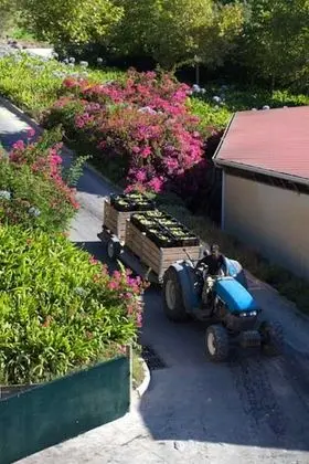 Asara Wine Estate & Hotel - Dış Mekan