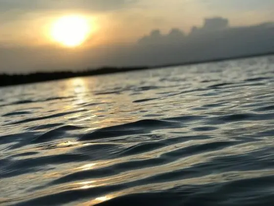 Ashansa Lagoon Resort - Plaj
