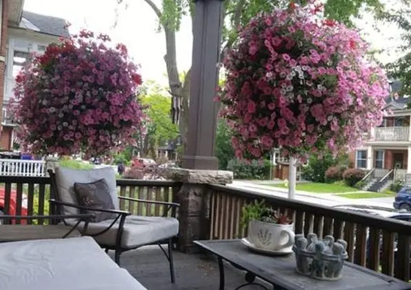 Ashbury House B&B - Dış Mekan