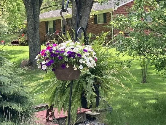 The Ashe Farm Bed & Breakfast - Öne Çıkan Resim