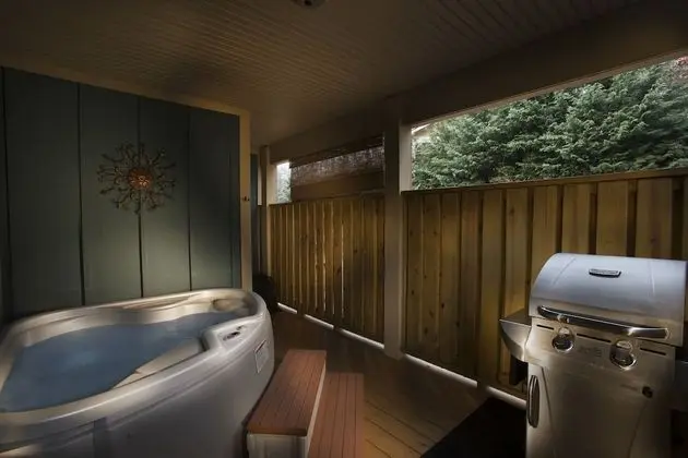 Asheville Cottages - Havuz