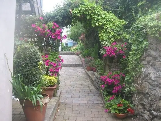 Ashleigh Guest House - Dış Mekan