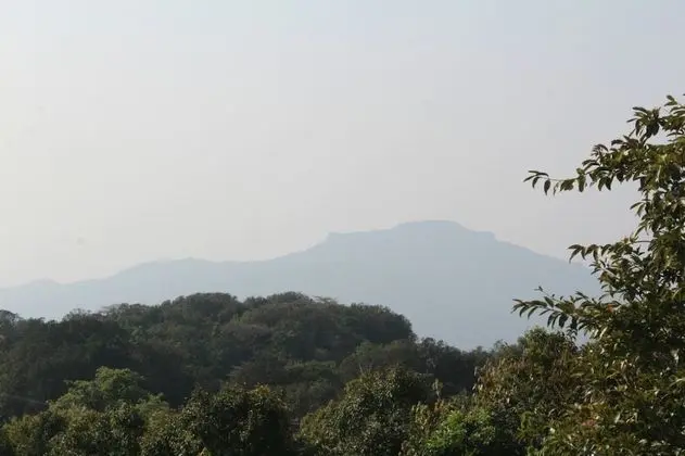 Ashok villa