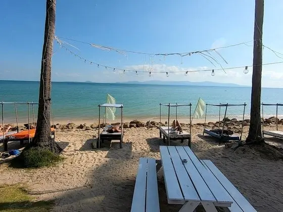 Asia Blue - Beach Hostel Hacienda - Single bed in 10-bed Dormitory Room - Mülk Olanakları
