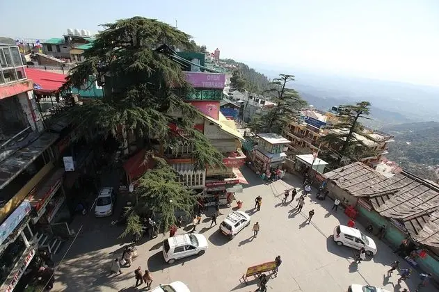 Hotel Asian Plaza Mcleodganj - Havuz