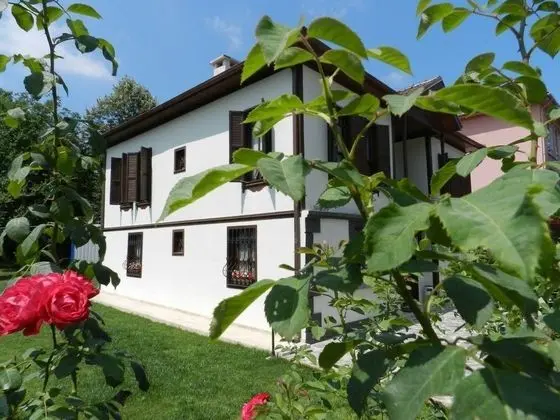 Aslıbey Konağı Butik Otel - 9