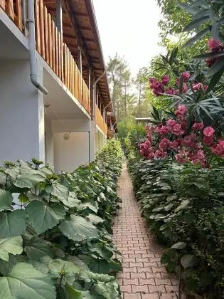 Asmalı Köşk Pansiyon