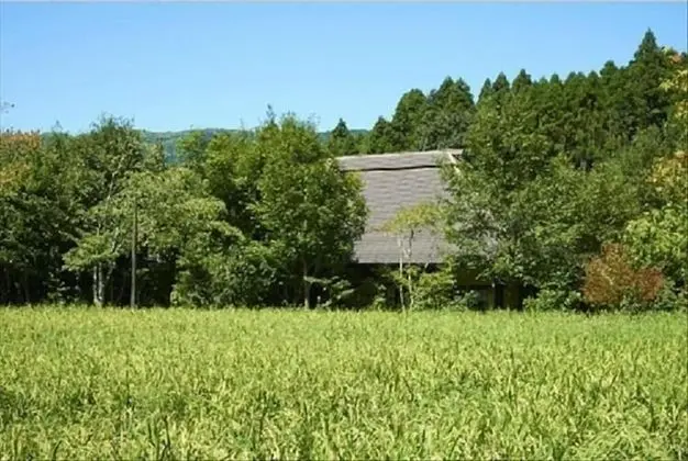 ASO no YAMABOUSHI