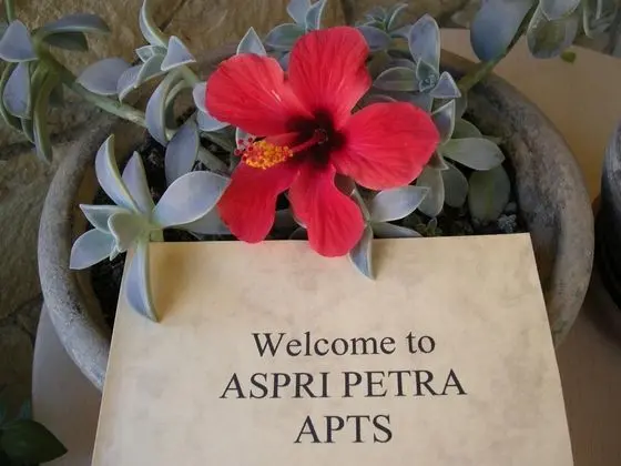 Aspri Petra