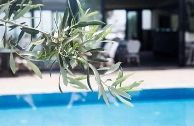 Assos Altın Otel