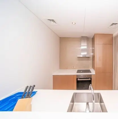 Astonishing 2 Bedroom Apartment DTPA - Mutfak