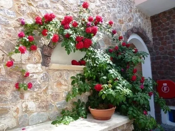 Atalos Suites - Dış Mekan