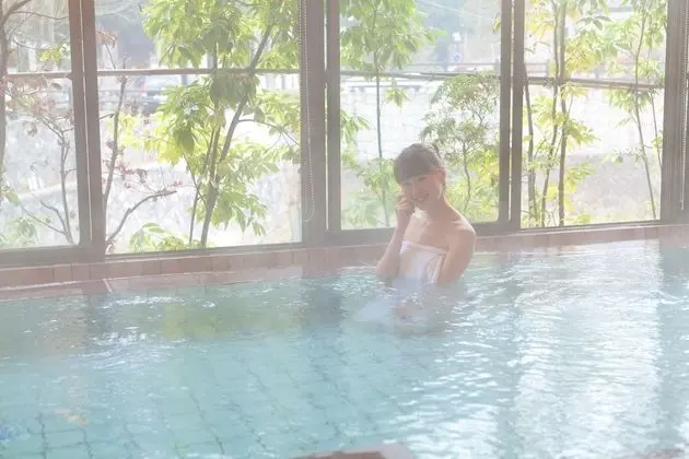 Atarashiya Ryokan - Dorogawa-onsen Hot Spring - Havuz
