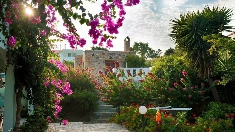 Athena Villas Olive Grove & Estate - Dış Mekan