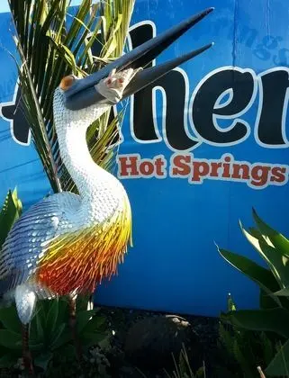Athenree Hot Springs & Holiday Park - Lobi