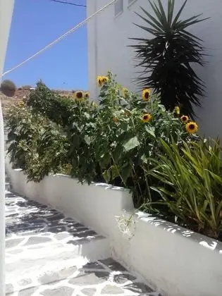 Athina Studios - Dış Mekan