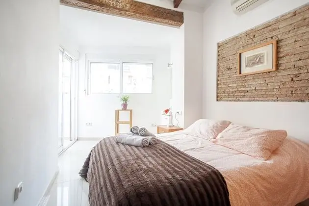 ATICO RUZAFA Centro Ciudad pet friendly - Oda