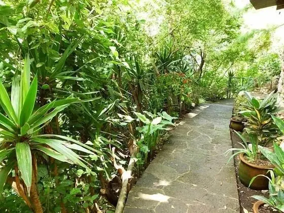 Atitlan Oasis Eco Hotel and Spa Kaalpul - Dış Mekan