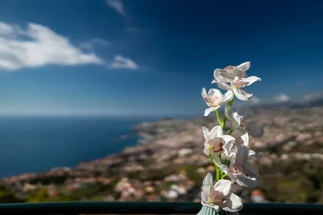 Atlantic Ocean Apartment - Dış Mekan