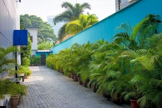 Atlantic Hotel and Spa