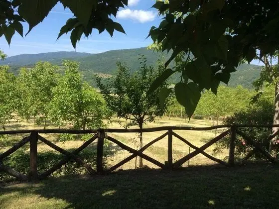 Atmospheric Appartment in Arezzo With Garden - Dış Mekan