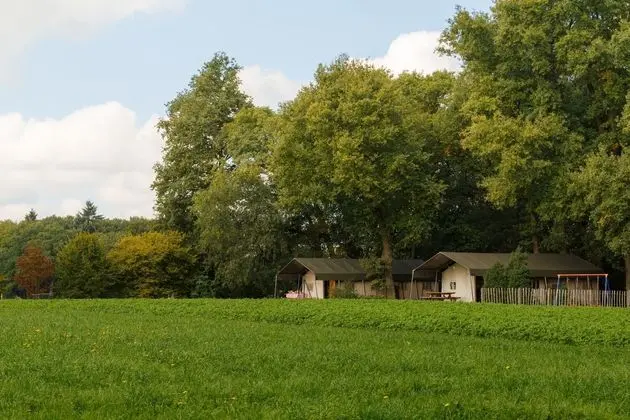 Atmospheric Tent Lodge With Dishwasher, in Twente - Öne Çıkan Resim